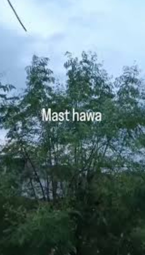 Mast hawa Jagmohan Sekhon 